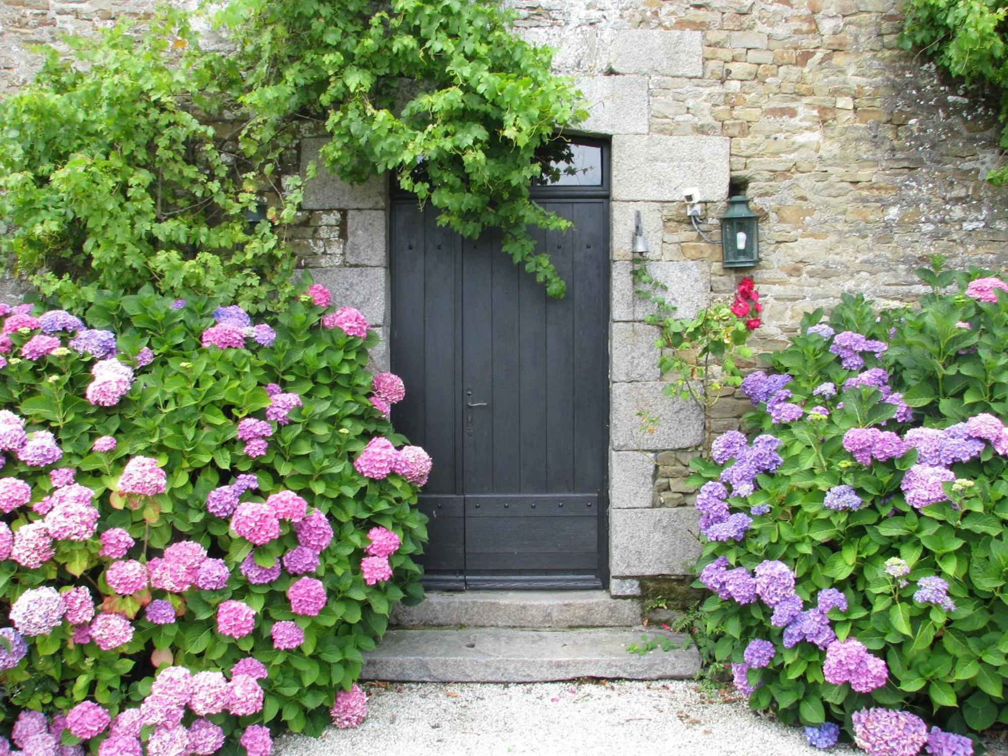 Le Domaine De Belleville Dragey Экстерьер фото